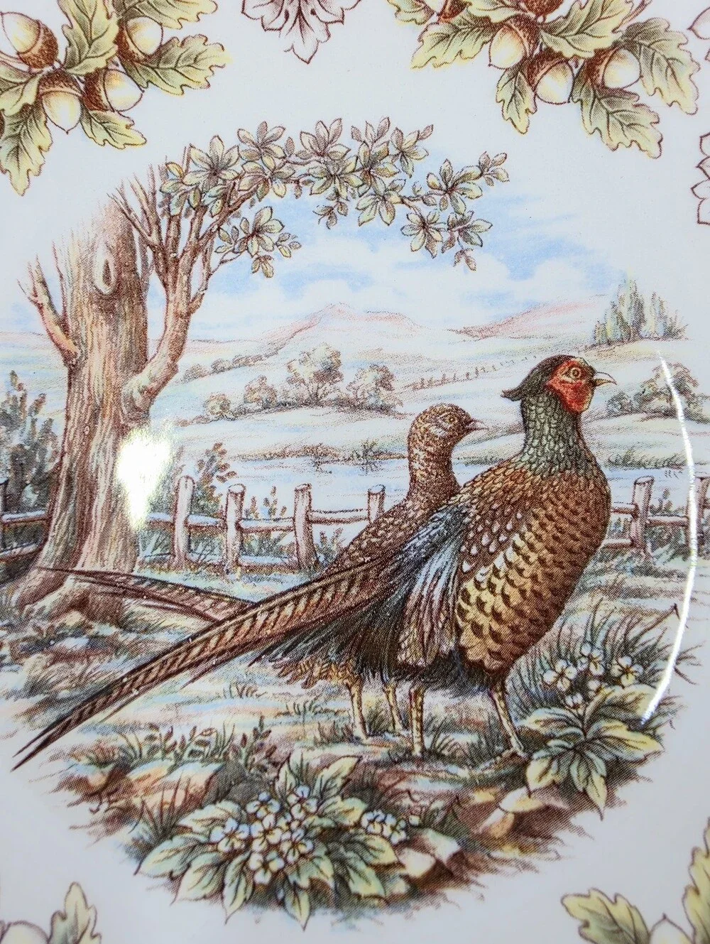 Victorian English Pottery Homeland Pattern Cereal Soup Bowl Edward Challinar